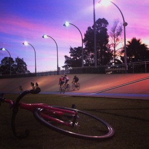 bikeongroundlizannewilmot