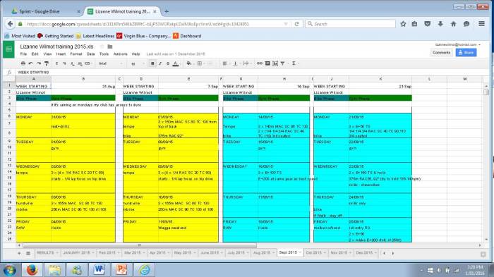 lizannewilmotgoogledoc
